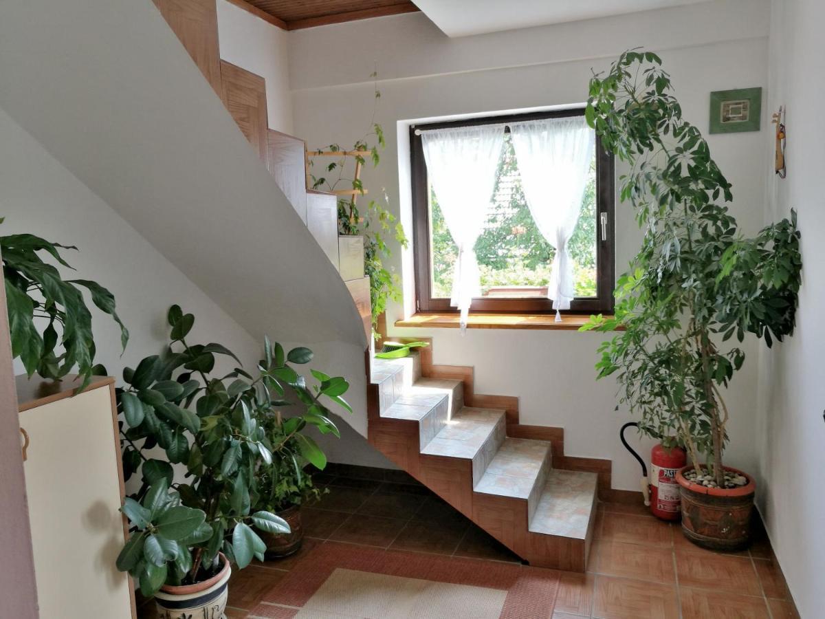 House Marica Poljanak Exterior foto